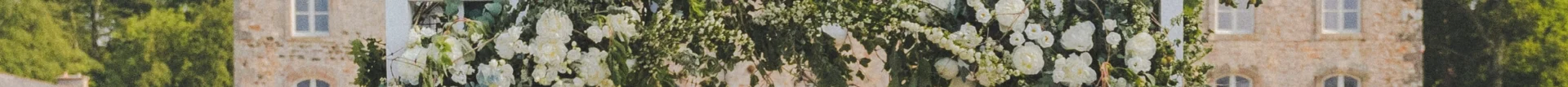 banniere_fleurs